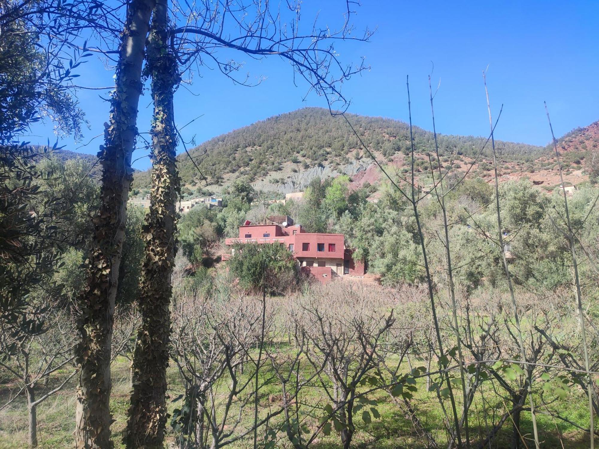 Chez Yahia, Au Coeur De L'Ourika Hotel ภายนอก รูปภาพ