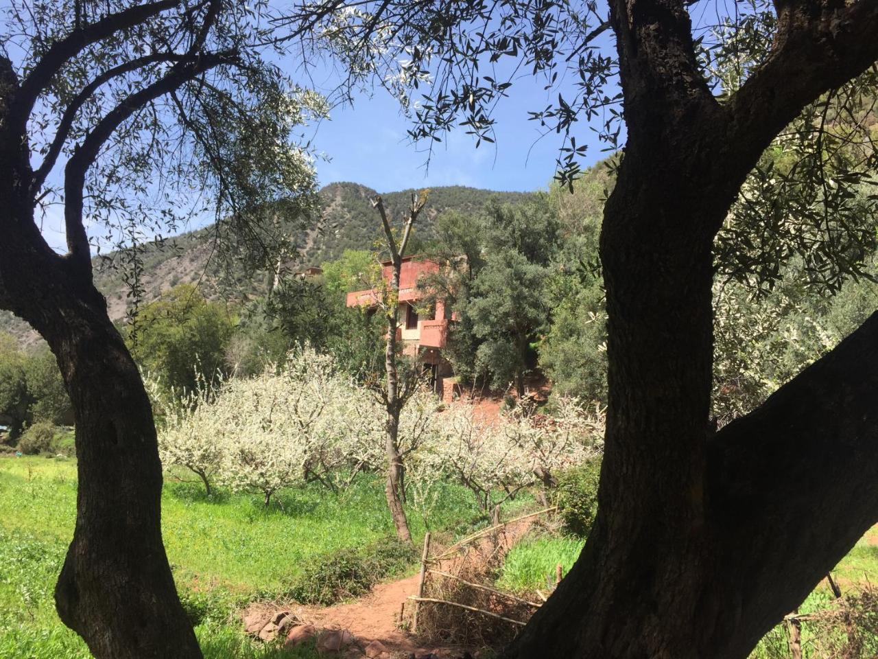 Chez Yahia, Au Coeur De L'Ourika Hotel ภายนอก รูปภาพ